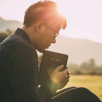 สมาชิกหมายเลข 9280045