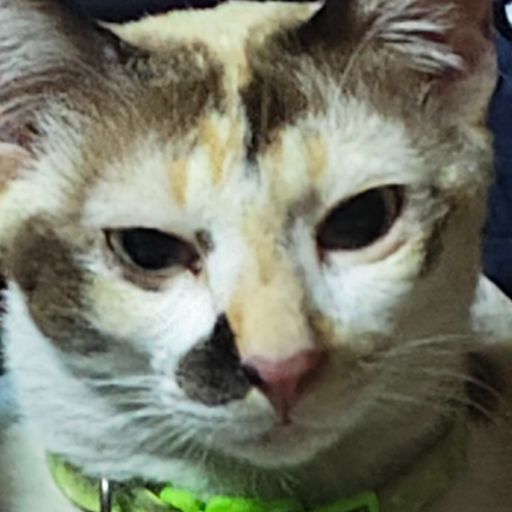 สมาชิกหมายเลข 9281097