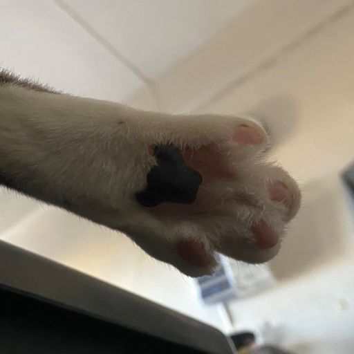 สมาชิกหมายเลข 9281503