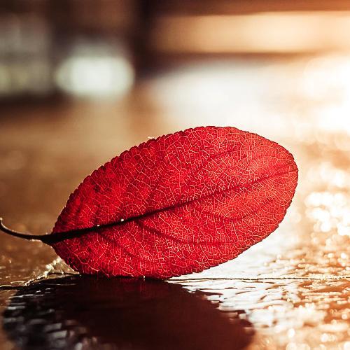 สมาชิกหมายเลข 3025430