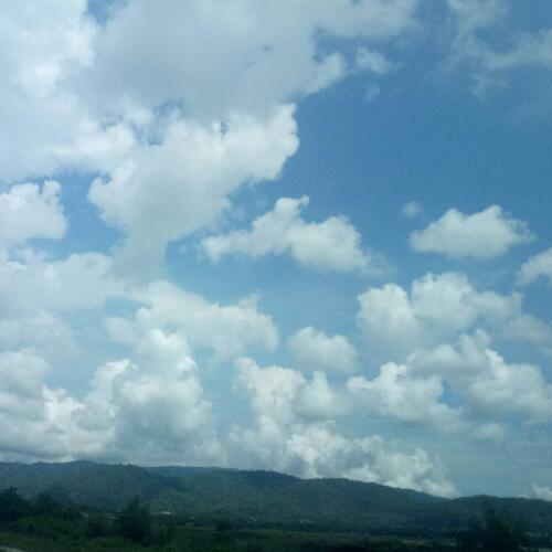 สมาชิกหมายเลข 5272080