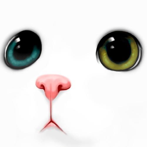 สมาชิกหมายเลข 5334005