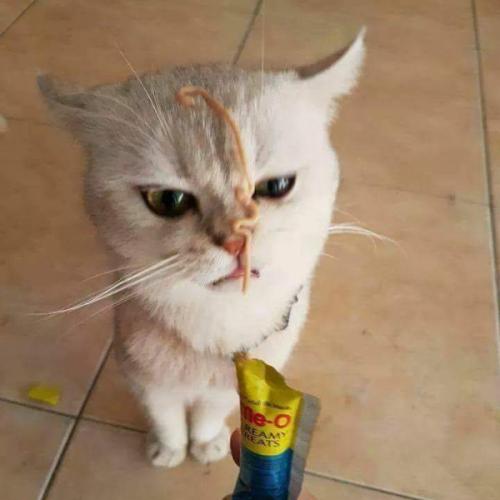 สมาชิกหมายเลข 5805033