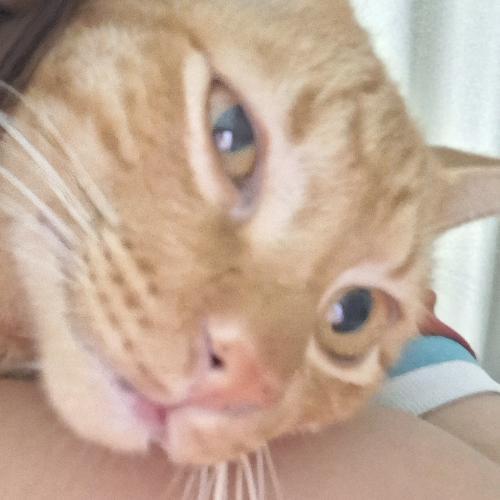 สมาชิกหมายเลข 5389046