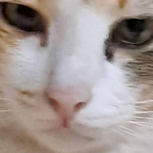 สมาชิกหมายเลข 8810464