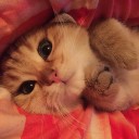 เจ้ากบบ๊อง