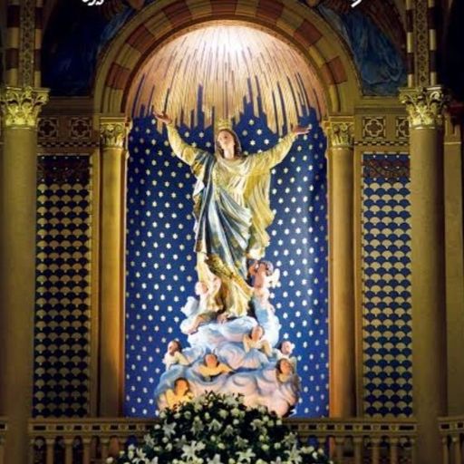 สมาชิกหมายเลข 7196862