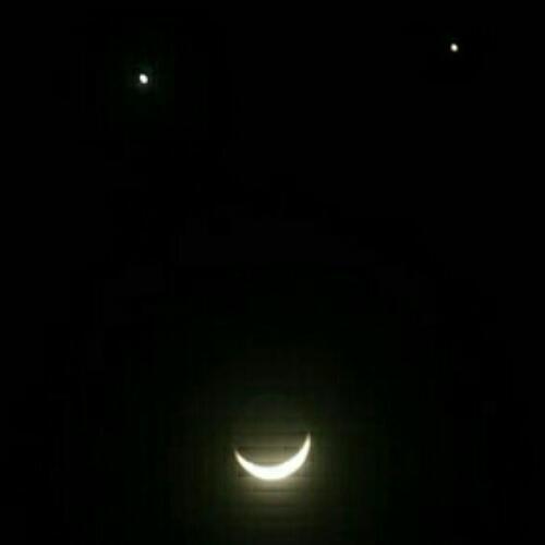 สมาชิกหมายเลข 4532424