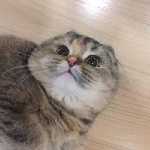 สมาชิกหมายเลข 4935837