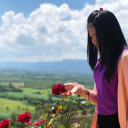 สมาชิกหมายเลข 4228739