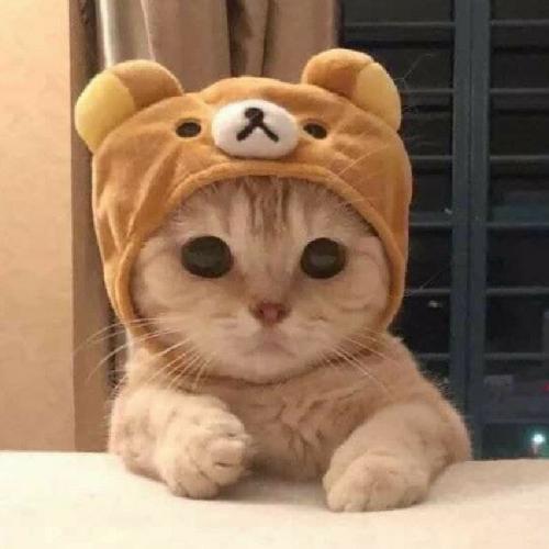 สมาชิกหมายเลข 5805393