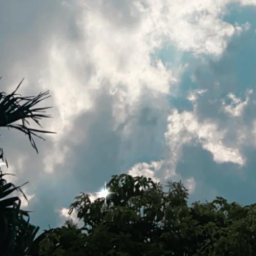 สมาชิกหมายเลข 5805608