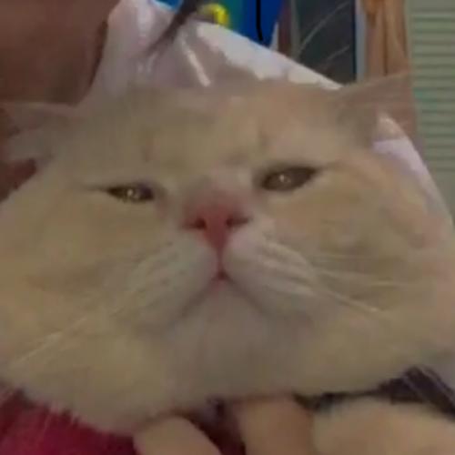 สมาชิกหมายเลข 6407163