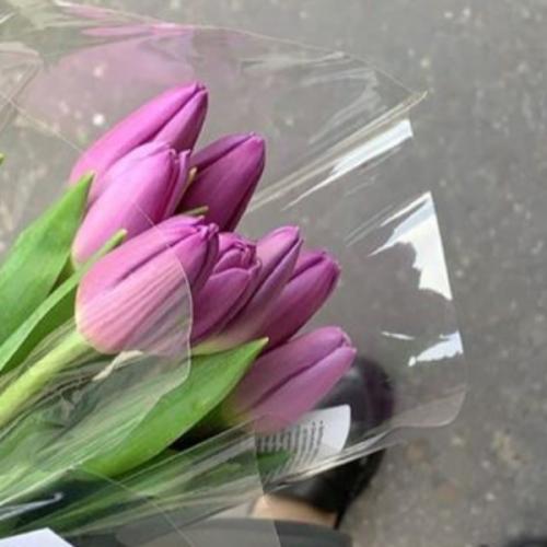 สมาชิกหมายเลข 1704707