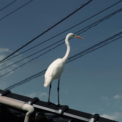 สมาชิกหมายเลข 2921585