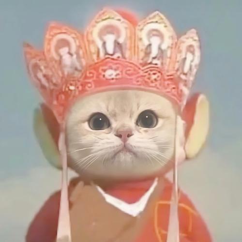 สมาชิกหมายเลข 1329539