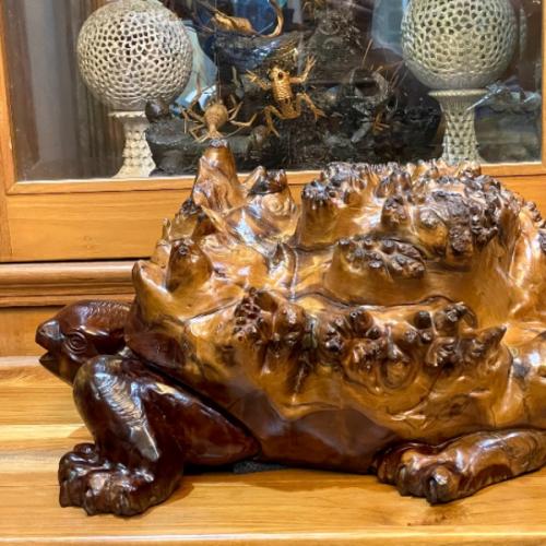 สมาชิกหมายเลข 5615883