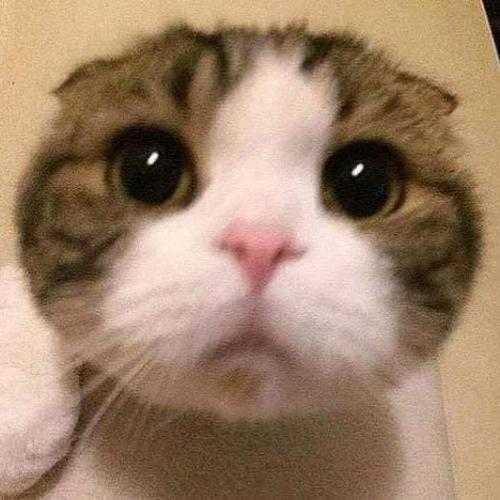 สมาชิกหมายเลข 8888954