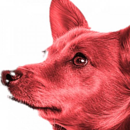 สมาชิกหมายเลข 8889529