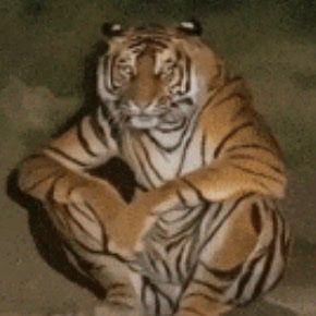 สมาชิกหมายเลข 5262297