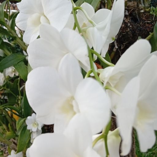 สมาชิกหมายเลข 9283760