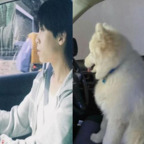 สมาชิกหมายเลข 9284105