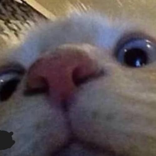 สมาชิกหมายเลข 9284133