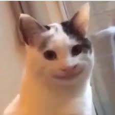 สมาชิกหมายเลข 9284202