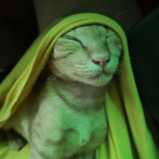 สมาชิกหมายเลข 9284621