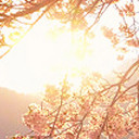 สมาชิกหมายเลข 3538947