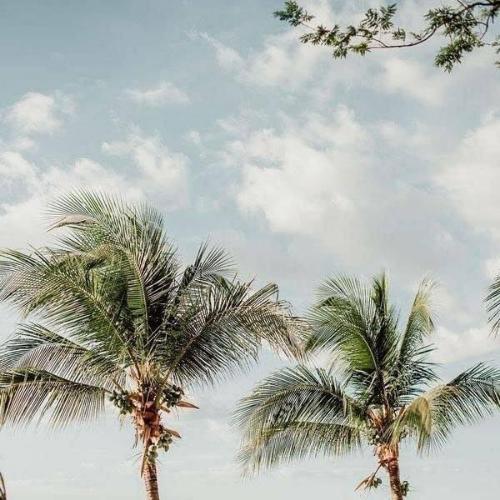 สมาชิกหมายเลข 3751949