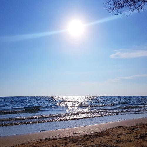 สมาชิกหมายเลข 4867488