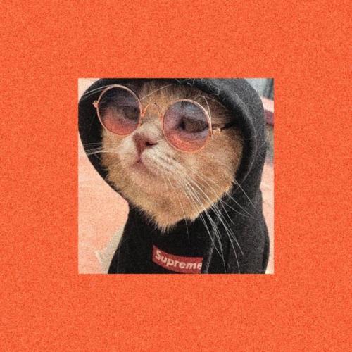 สมาชิกหมายเลข 5805777