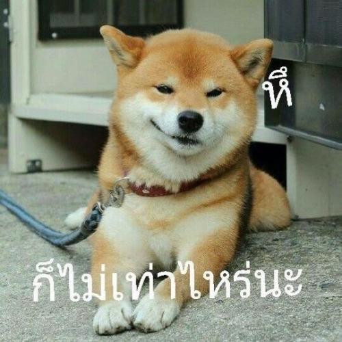 สมาชิกหมายเลข 5805989