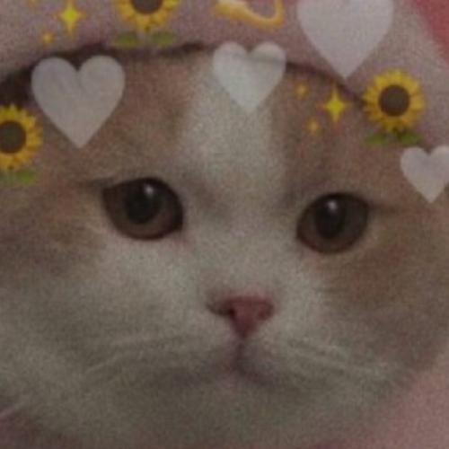 สมาชิกหมายเลข 6407791