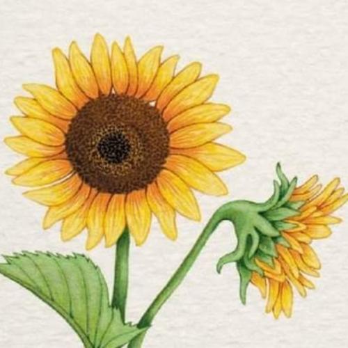 สมาชิกหมายเลข 6408124