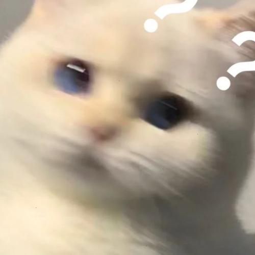 สมาชิกหมายเลข 4465756