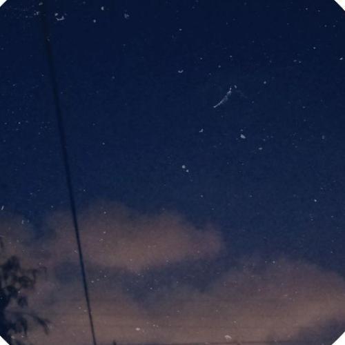 สมาชิกหมายเลข 5541452