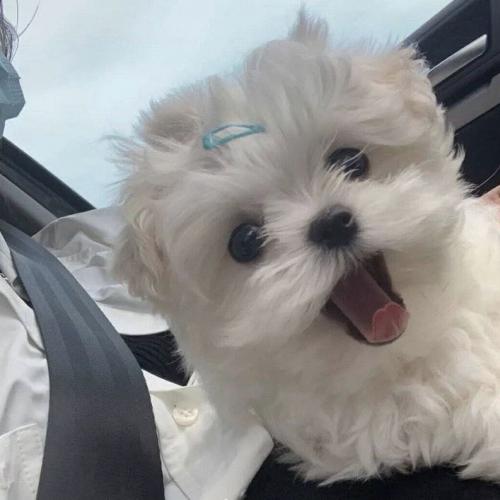 สมาชิกหมายเลข 5941644