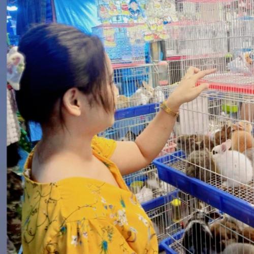 สมาชิกหมายเลข 5010355