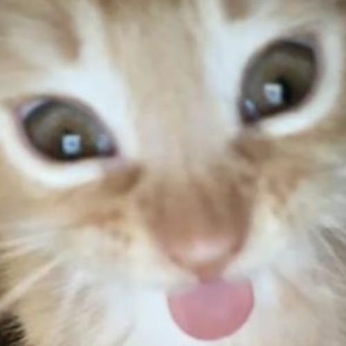 สมาชิกหมายเลข 5628519