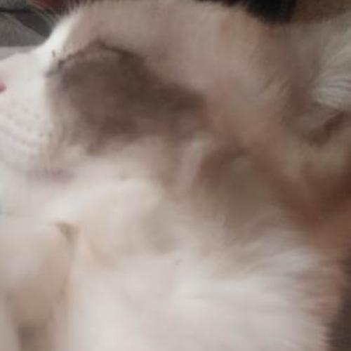 สมาชิกหมายเลข 7176813