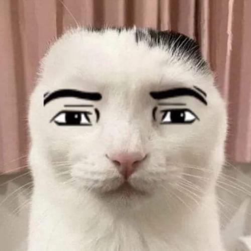 สมาชิกหมายเลข 7878643