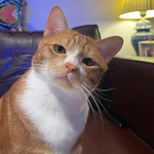 สมาชิกหมายเลข 7878777