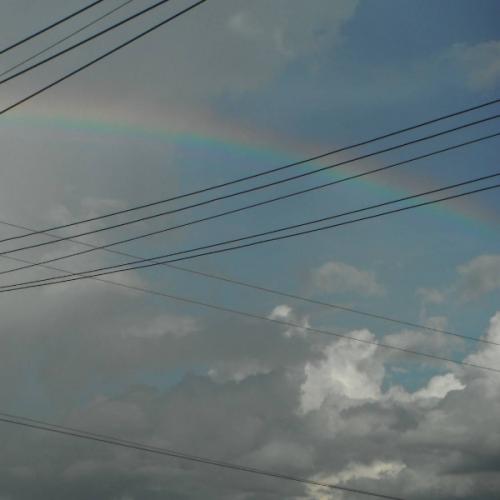 สมาชิกหมายเลข 6142620