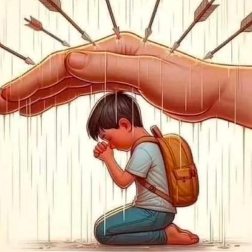 สมาชิกหมายเลข 8826782