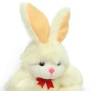 สมาชิกหมายเลข 4104670