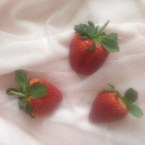 สมาชิกหมายเลข 6236809