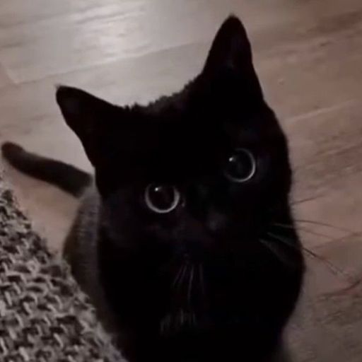 สมาชิกหมายเลข 6653070