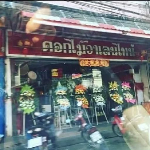 สมาชิกหมายเลข 9286185